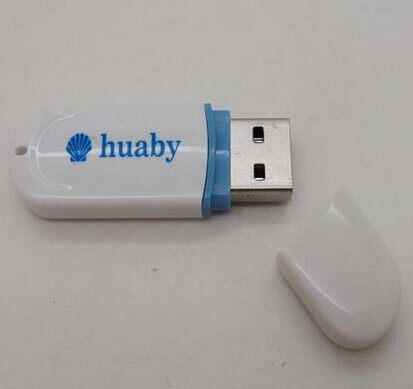 Plastic USB Flash Drive 4GB