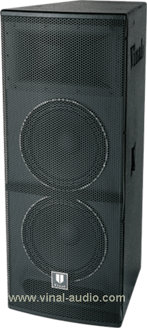 Professional Speaker (VS622)