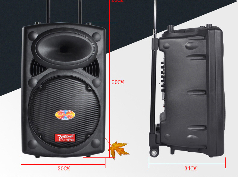 12 Inch Battery Speaker with 6600mAh Lithium Battery F6814s