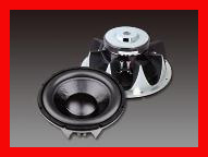 Professional Car Audio Speaker (GT WOOFER 250D SERIES)
