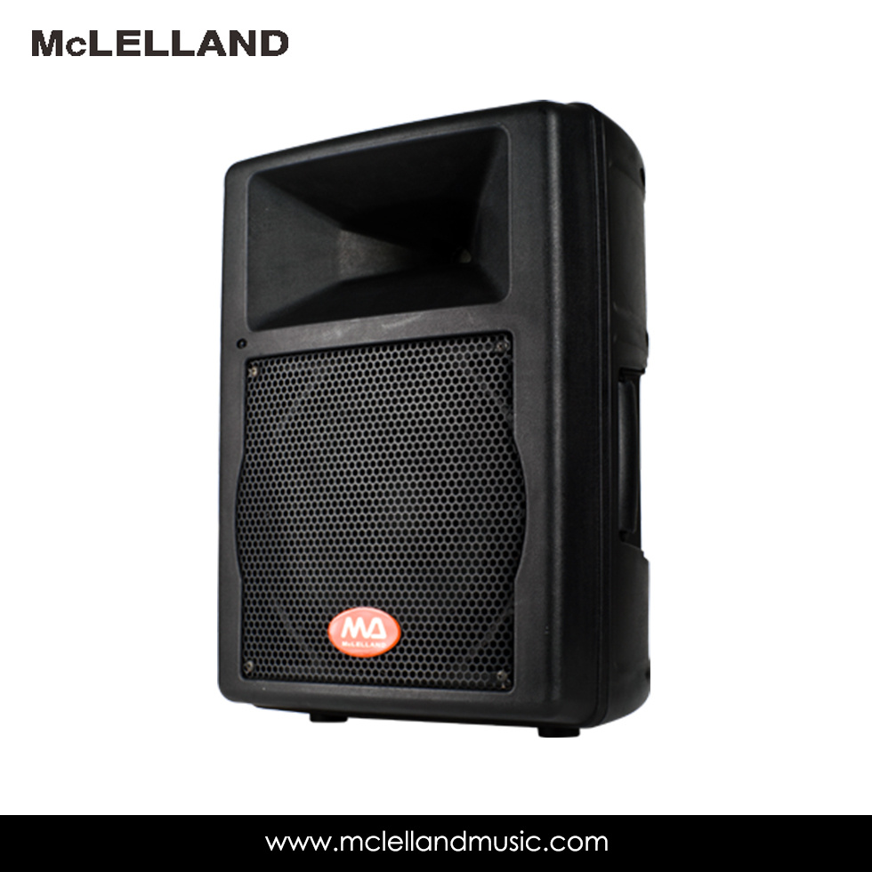 Active Speaker (Perception 12A)