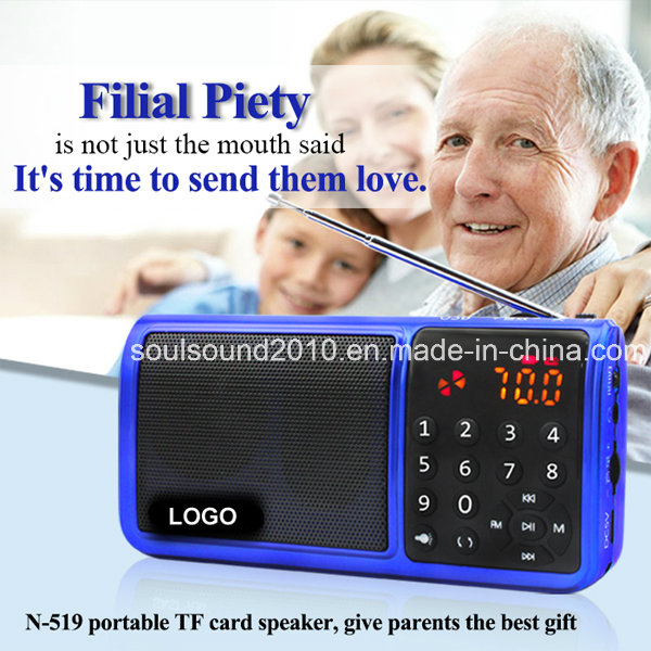 Mini Speaker with MP3 Player (N519)