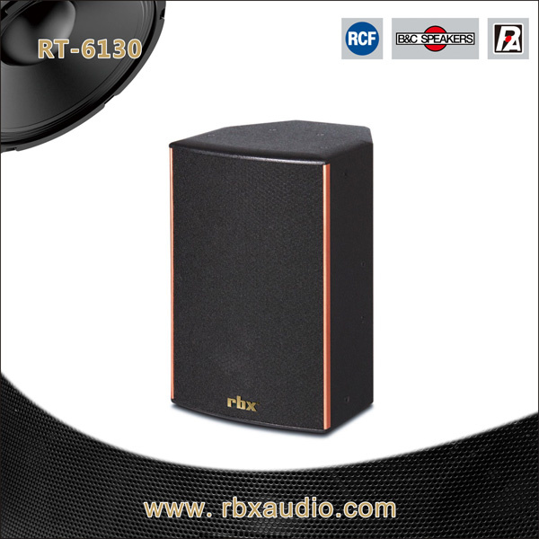 Rt-6130 Single 10 Inches 2-Way Audio Work