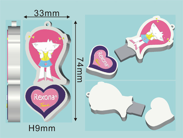 Custom PVC USB Flash Drives (KDV120)