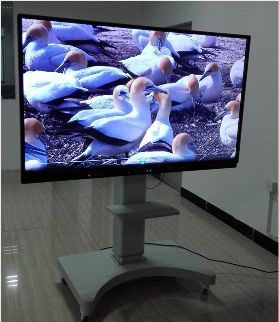65 Inch Mutil Touch Screen for Teaching