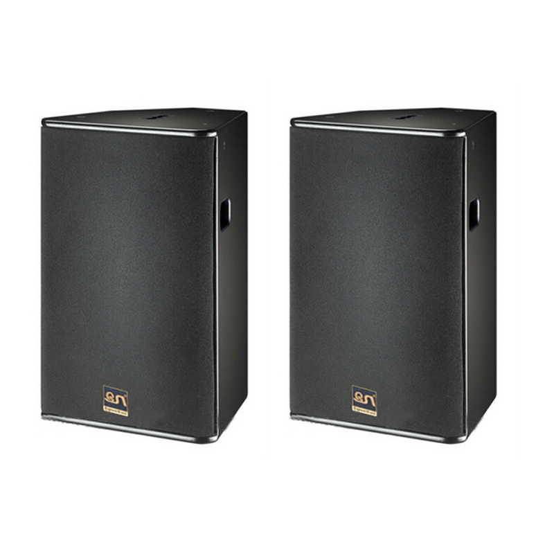10 Inch PRO Audio /Professional Speaker
