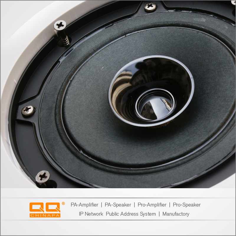 Best Price Wholesale in Ceiling Speaker with Coaxial Tweeter