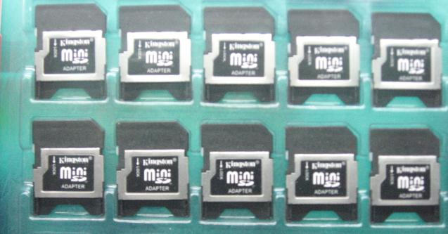 Mini SD Card