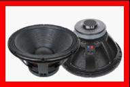 PA Woofer/PRO Audio Loudspeaker (PC)