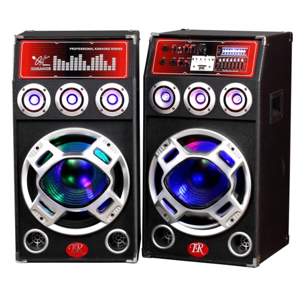 Professional Speaker TM-12