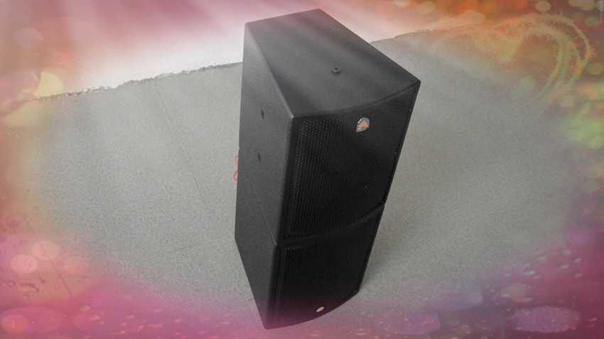 PRO Audio Active Speaker, Stage Speaker 12 Inch