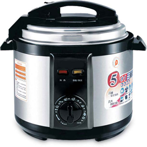 Electric Pressure Cooker (CR-04)