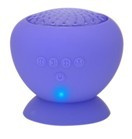 Bluetooth Music Speaker Support FM Radio MP3 Player (AF-71B)