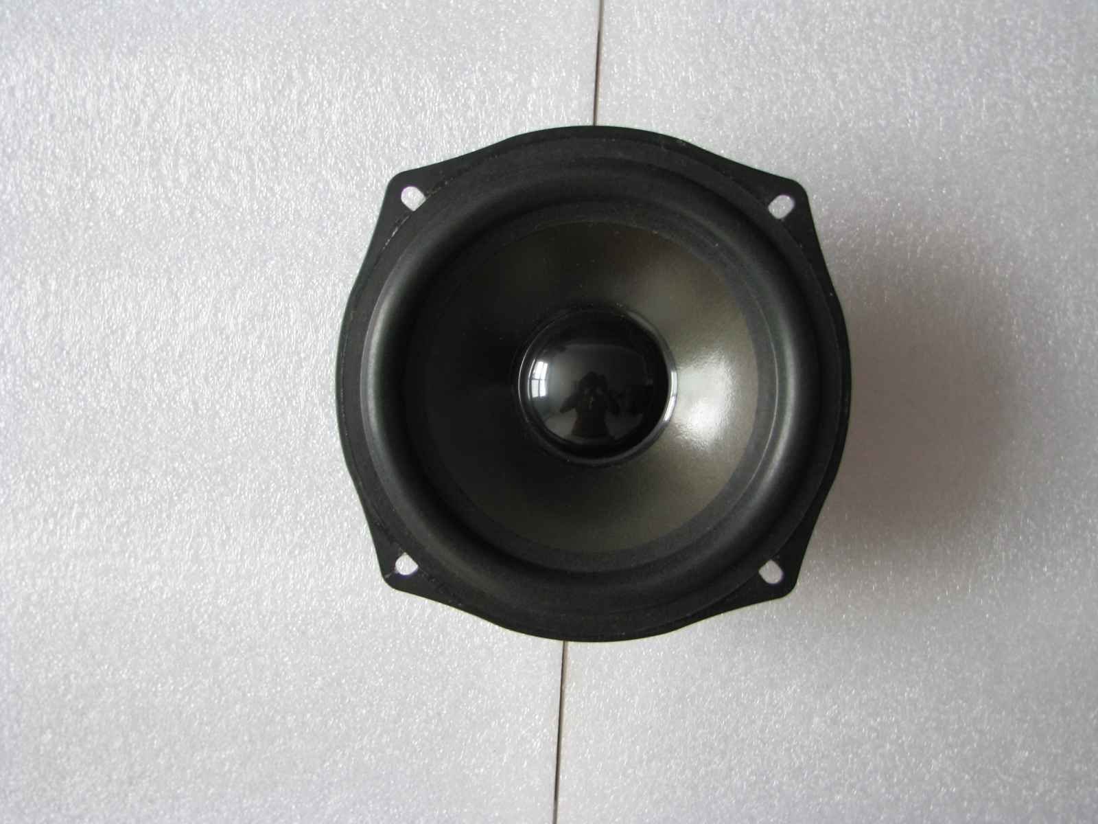 5 Inches Full Frequency Speaker 