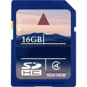 SD Memory Care (Memory card-1058)