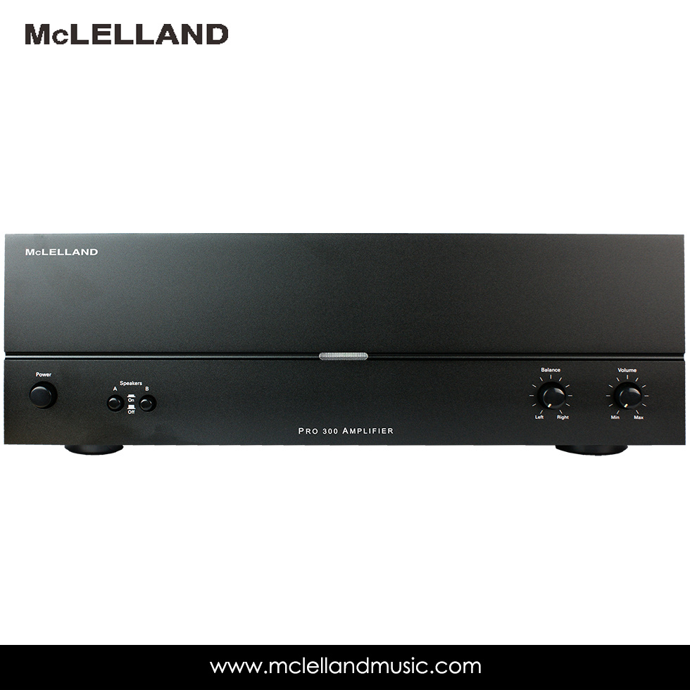 2 Input Class D Stereo Amplifier (PRO-300)