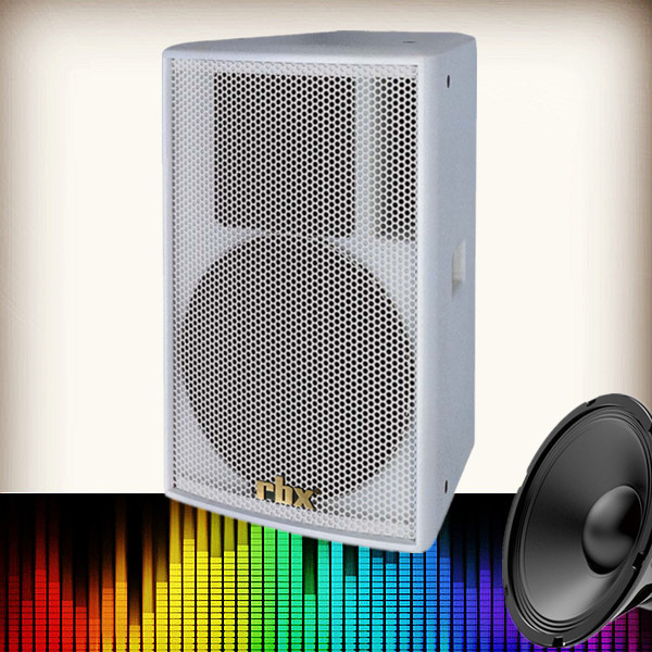 Aq-12 Single 12 Inch Full Range 300W Vibration Speaker