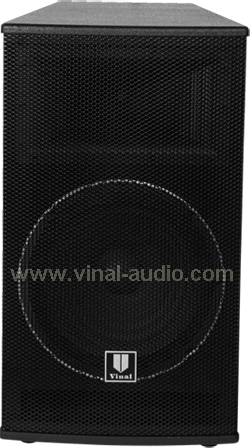 Professional Speaker (VS105)