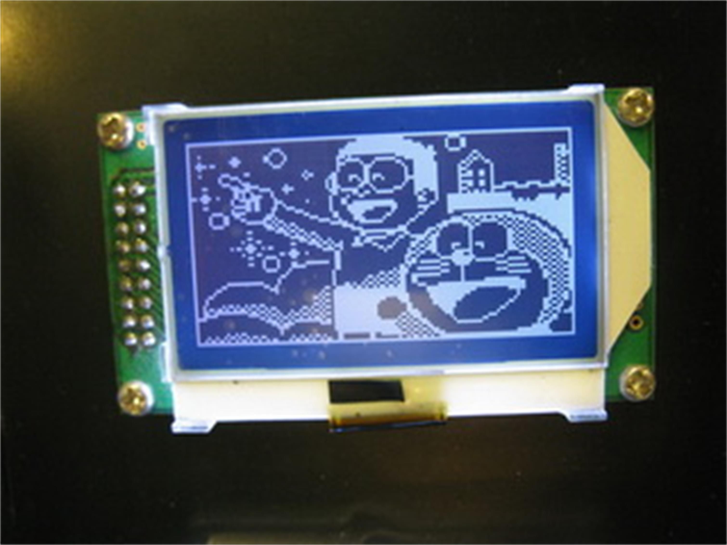 Mono Graphic 132X64 DOT Matrix LCD Display