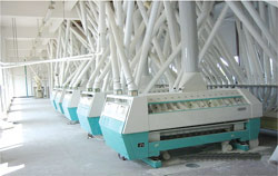 Flour Mill Purifier