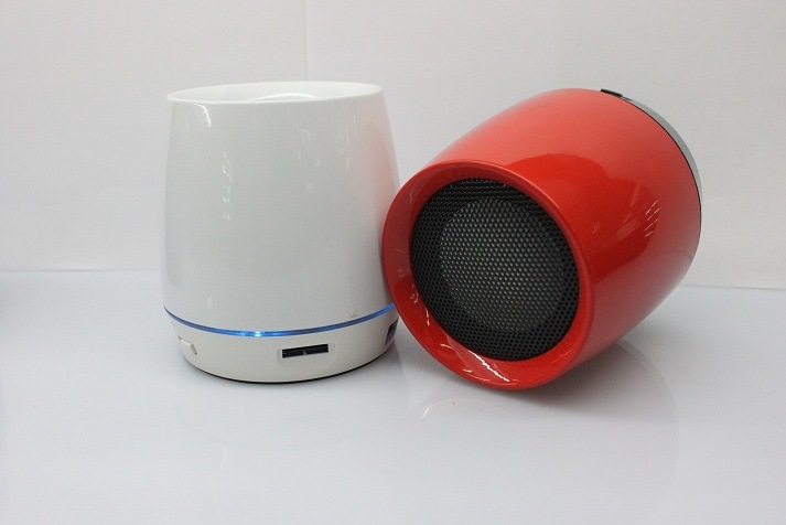 Private Mould Bluetooth Wireless Hifi Mini Speaker with FM Fuction