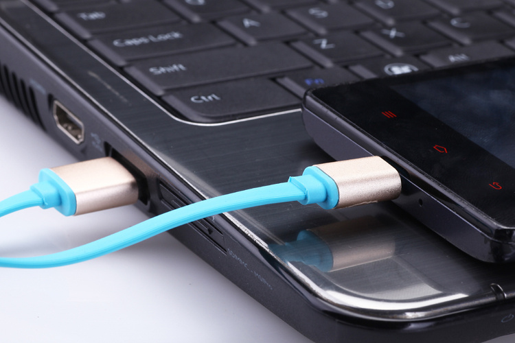 Beautiful Flat Aluminum Casing Micro USB Cable (ERA-23)