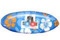 Flash Sticker JWX-SG143