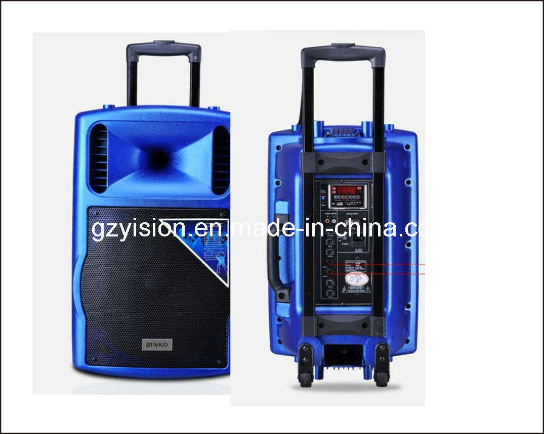 Outdoor Karaoke Stage Speaker