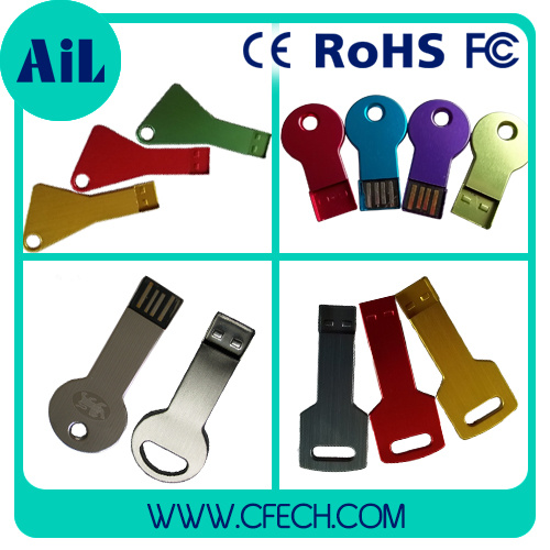Metal Key USB Flash Drive/USB Pen Drive