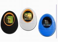 Digital Photo Frame