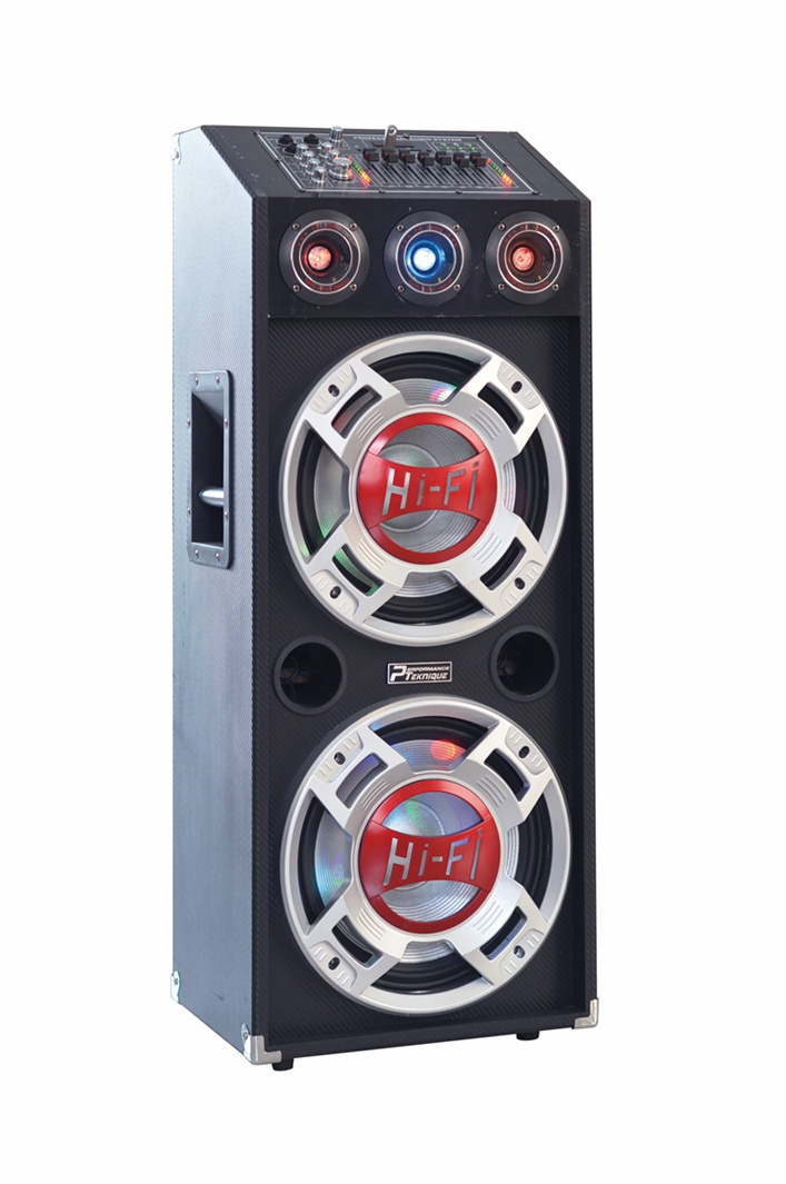 Stage Speaker Protable DJ Speaker with USB/SD (E22)