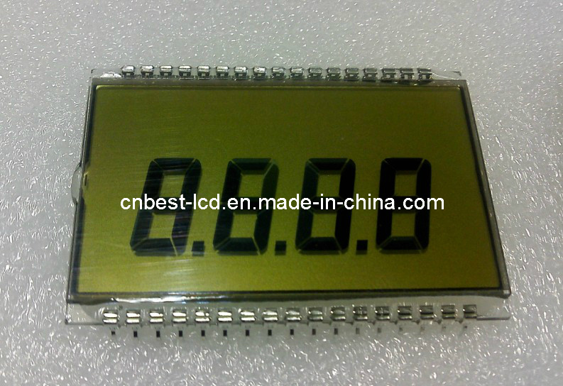 8 Digits LCD Display