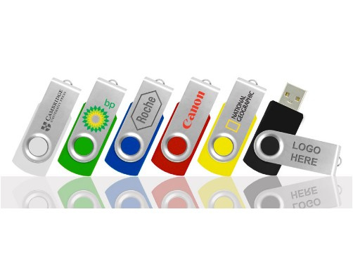 OEM USB Flash Drive 100