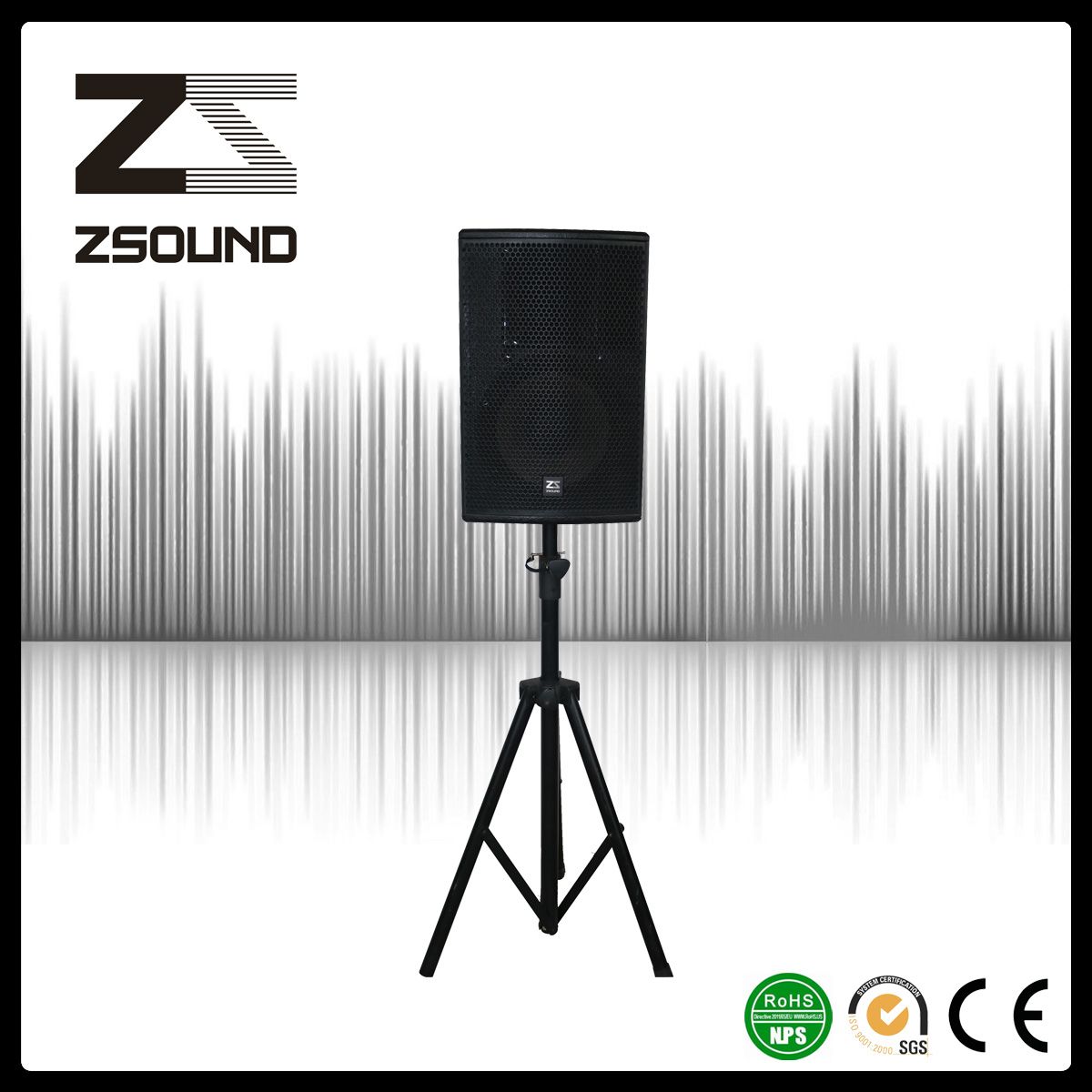 Professional Cabinet Speaker Audio System
