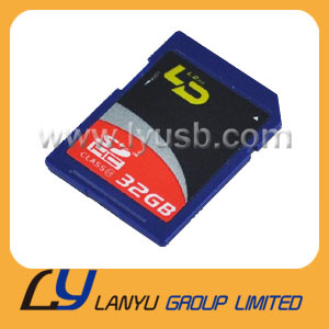 Micro SD Card