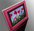 Digital Photo Frame F1043