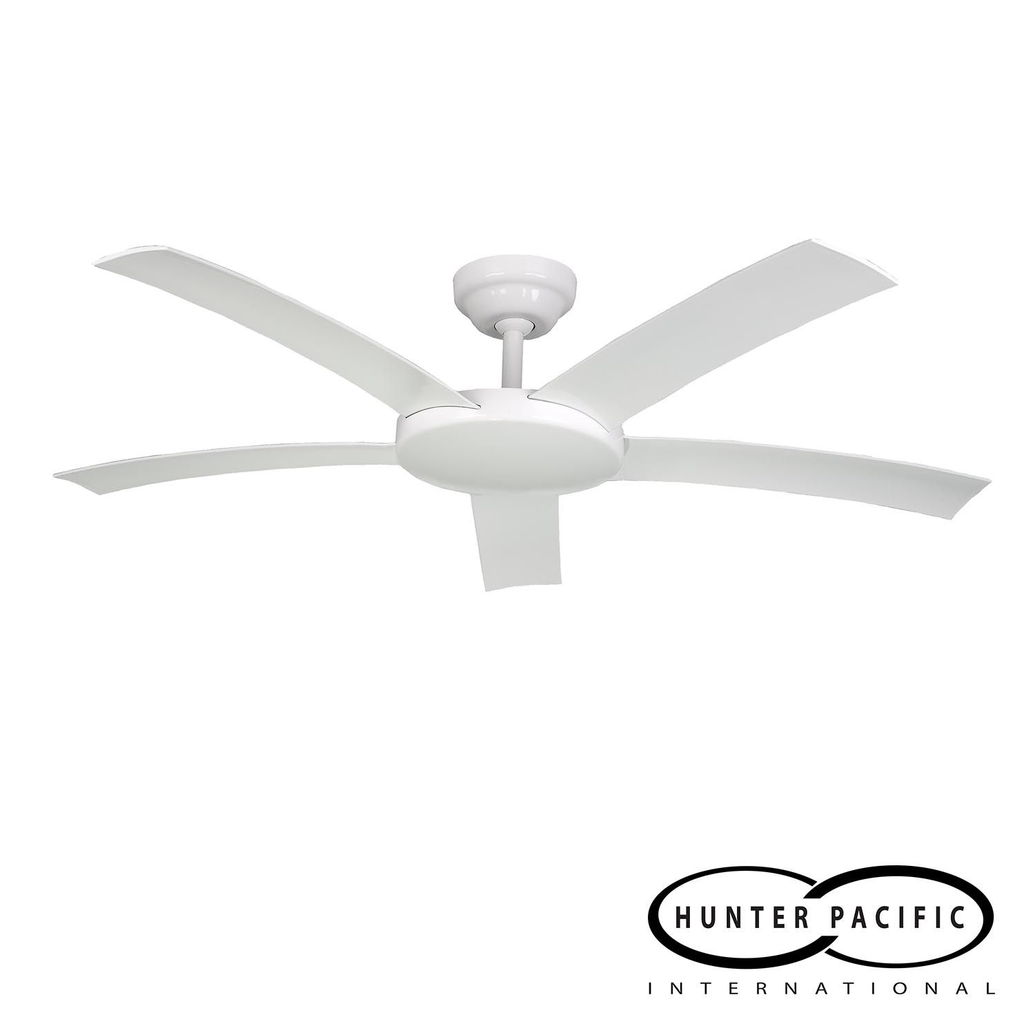 Attitude Fan