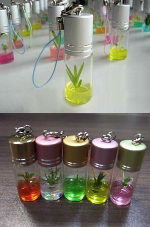 Mini Plant