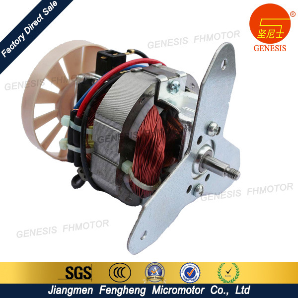 High Standard and Effective Electric Motor 220V