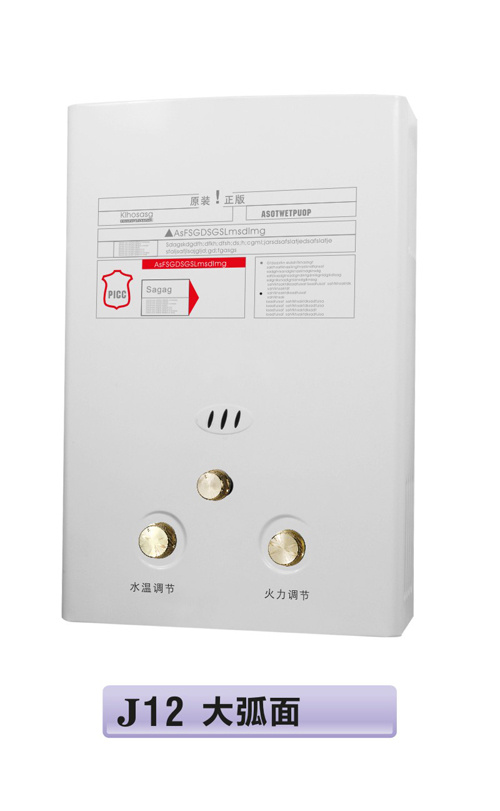 5L Tankless Duct Flue Gas Water Heater - (JSD-J12)