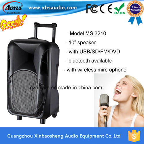 Single 10 Inches USB Charge Portable Speaker