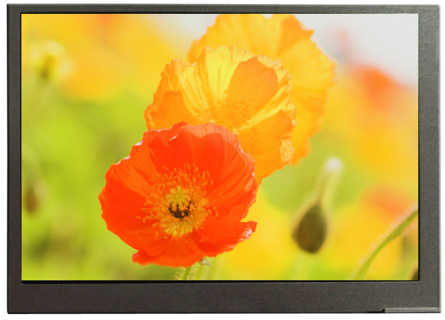 Bd057kdh01 TFT LCD Display