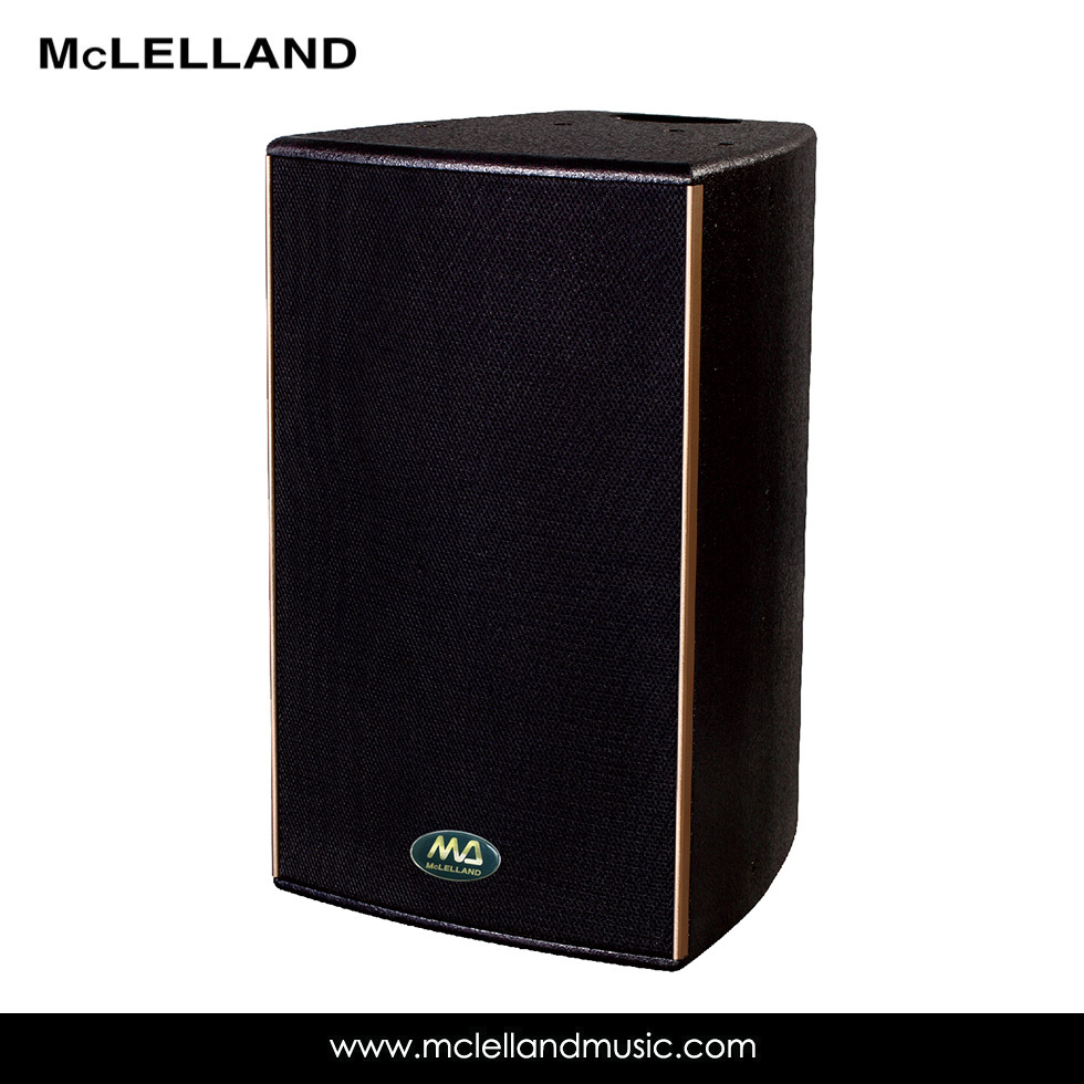 Passive 2-Way Full Range Speaker (MC-910)