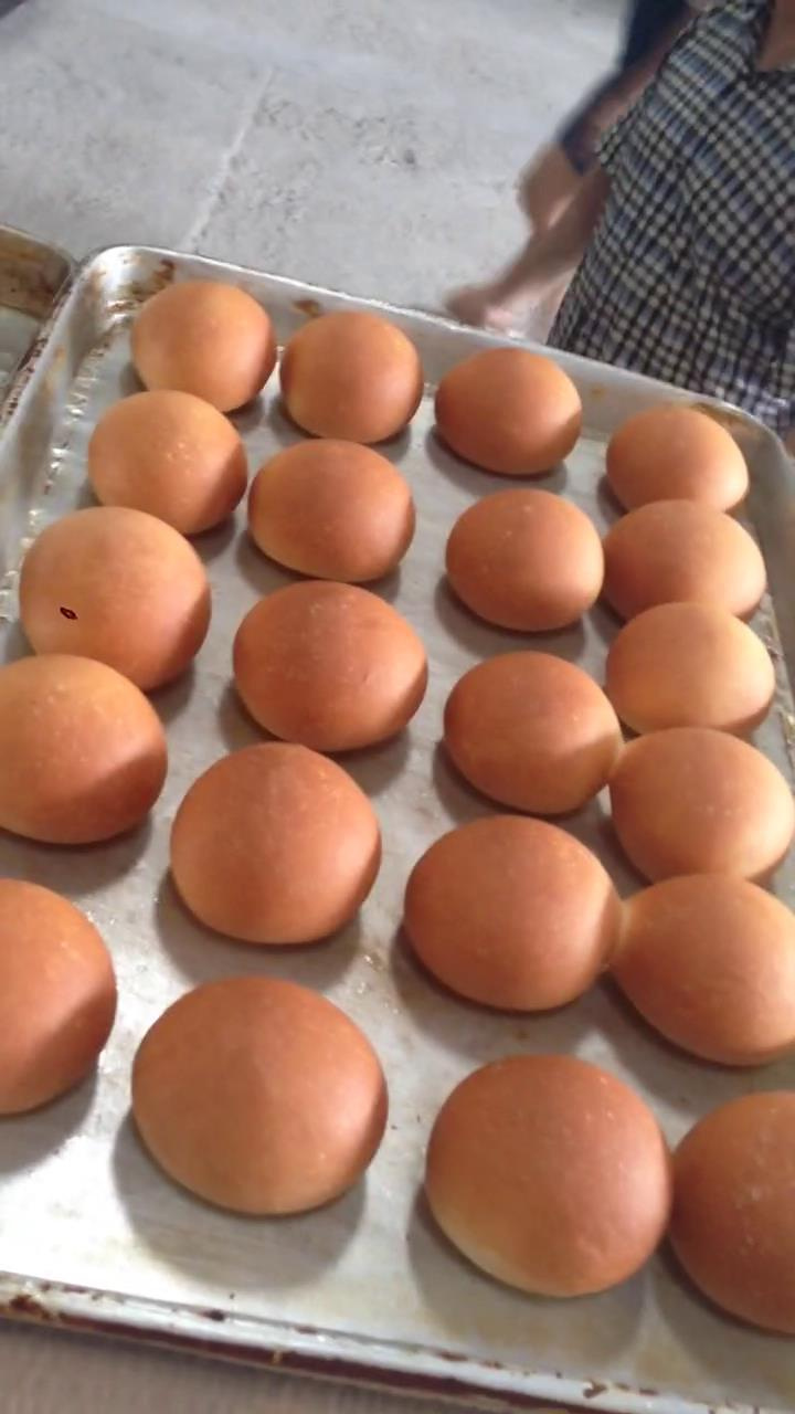 12 Tray Convection Oven for Bread