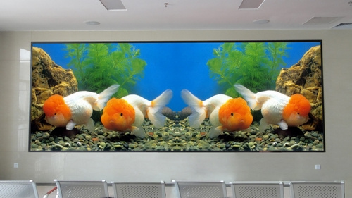 P6 Indoor LED Display/LED Display