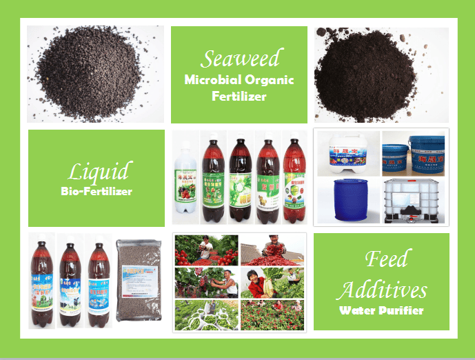 Bio Microbial Aquaculture Water Purifier