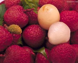 Cold Room Refrigerator for Litchi