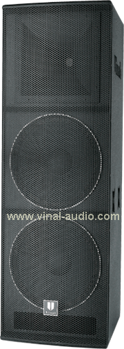 Professional Speaker (VS1005)