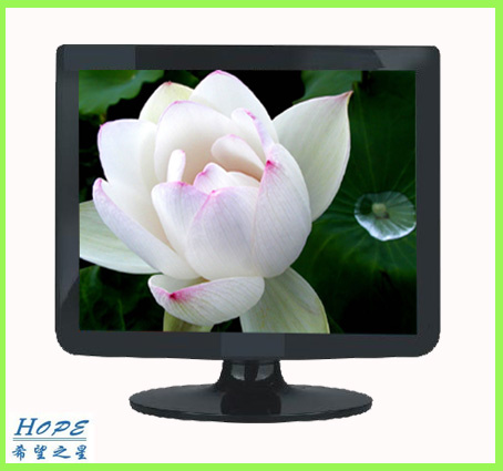 17 Inch TFT LCD Display (P72P)