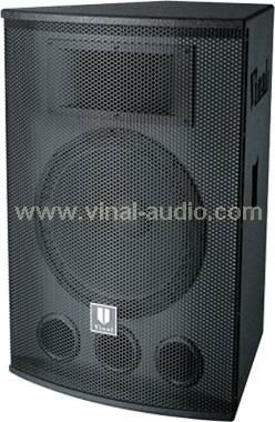 Professional Speaker (VS150)